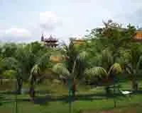 Feng Shui